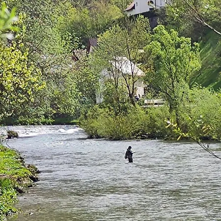 Hébergement de vacances Mila *