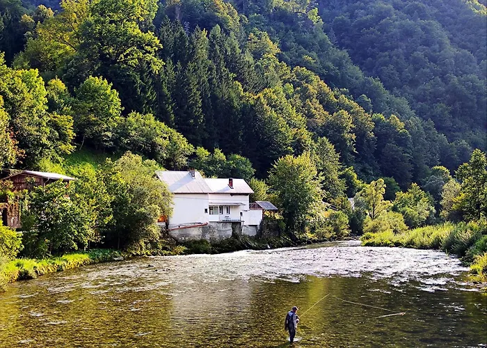 Mila Дом отдыха *